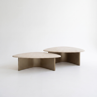 Seashell Coffee Table