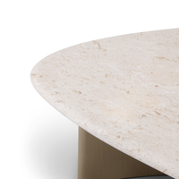 Seashell Coffee Table