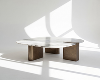 Pheenix Coffee Table