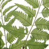Country Ferns Vase ( Set of Two )