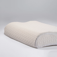 Airnest Pillow