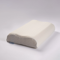 Airnest Pillow