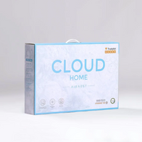 Airnest Pillow