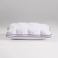 Cloud Pillow